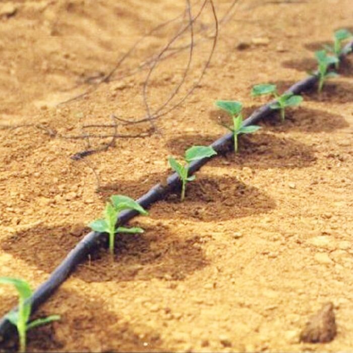 IMS Group - PVD Vegetable drip irrigation